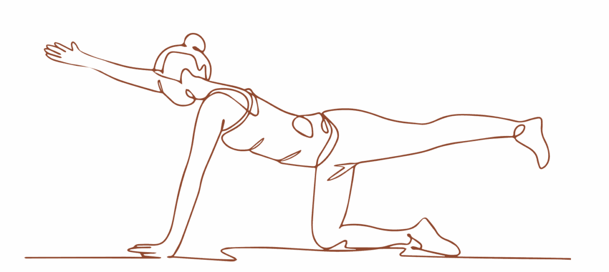 drawing doing bird dog exercise